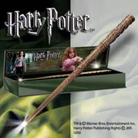 Hermione Granger's Illuminating Wand