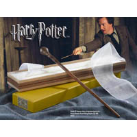 Professor Lupin's Wand