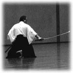 Iaito Training Swords