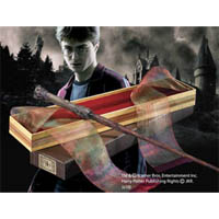 Harry Potter Wand
