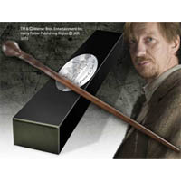 Professor Lupin's Wand